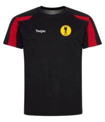 Fawley Falcons FC Team Dry T-Shirt