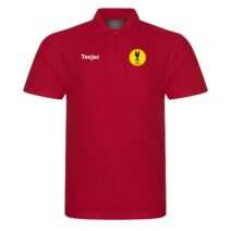 Fawley Falcons FC Classic Polo Red or Black