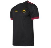 Ysgol Dyffryn Conwy Staff Technical T-Shirt