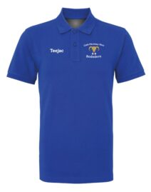 CFFI Bodedern Polo