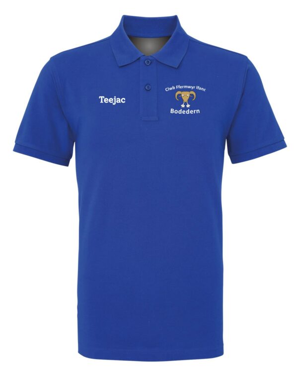 CFFI Bodedern Polo