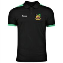 Holyhead High School Staff Technical Polo