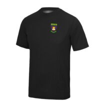 Ysgol Dyffryn Nantlle Junior PE T-Shirt