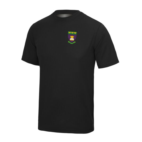 Ysgol Dyffryn Nantlle Junior PE T-Shirt