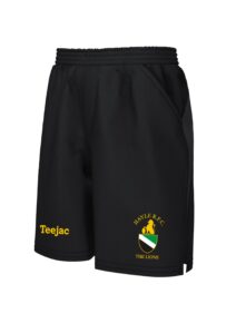 Hayle RFC Junior Pro Training Shorts