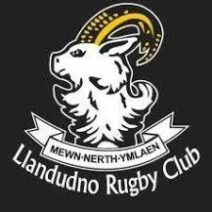 Llandudno RFC Adult Sizes