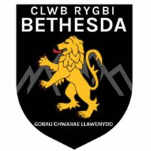 Clwb Rygbi Bethesda Adult Sizes