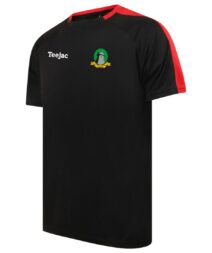 CPD Cefni Team Training T-Shirt