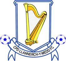 Cpd Llanerchymedd Adult Sizes