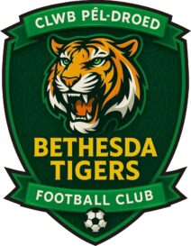 CPD Bethesda Tigers Adult Sizes