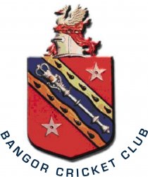 Bangor Cricket Club - Junior Sizes