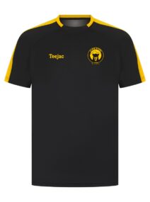 Flint RFC Team Training T-Shirt