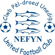 Nefyn United FC Adult Sizes