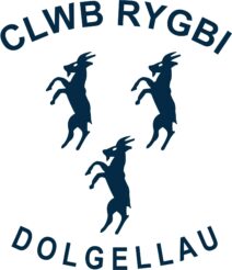 Dolgellau RFC Adult Sizes