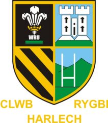 Harlech RFC Adult Sizes