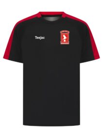 Llanrug United Team Training T-Shirt