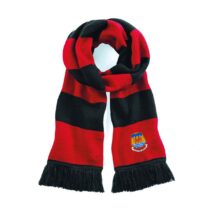 Cardigan RFC Scarf