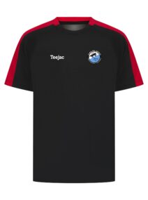 Blaenau Amateurs FC Team Training T-Shirt
