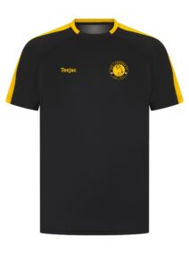 Llangoed FC Team Training T-Shirt
