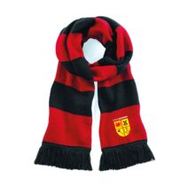 CPD Gaerwen Scarf
